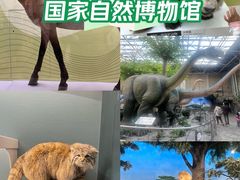 -国家自然博物馆