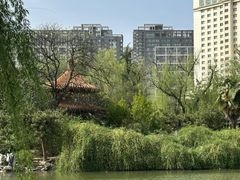 -西苑公园