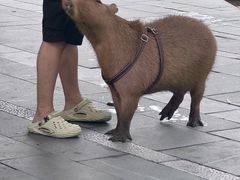 -潇湘阁(三里屯SOHO店)