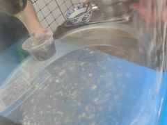 -刘老虎肉丸糊辣汤(总店)