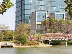 -南翔镇银翔湖公园