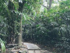 -广州兰圃
