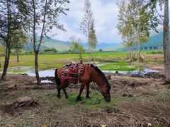 -泸沽湖国家级风景名胜区走婚桥