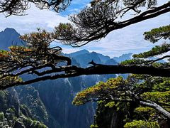 -黄山风景区