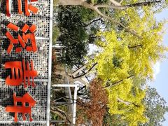 -兰溪青年公园
