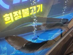 -喜井无限自助烤肉公司(石厦店)