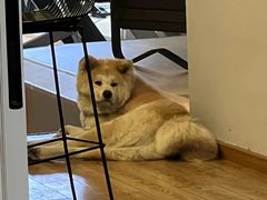 -YCHL Studios健身工作室(市二宫店)
