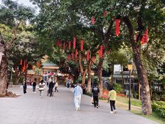 -荔湾湖公园
