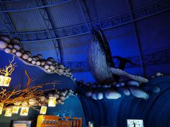 -烟台海昌鲸鲨海洋公园