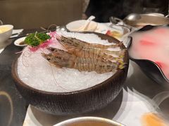 -红鼎豆捞·非遗鲍皇汤火锅(宝丰路店)