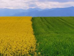 -DJI大疆(深圳华强北曼哈授权体验店)