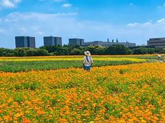 -长广溪湿地公园