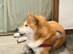 -三目仓咖啡(贤南路店)