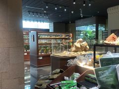 -帕帕拉兹宠物(亚洲旗舰店)