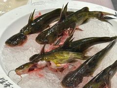 -蜀九香火锅(九眼桥店)