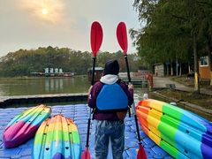 -上海海湾国家森林公园