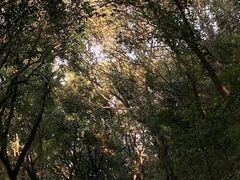-穹窿山景区