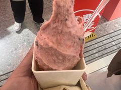 -野人先生现做冰淇淋(北京王府井东方新天地店)