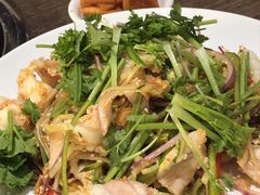-港升鱼师傅·中山脆肉鲩