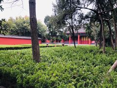 -洛阳白马寺