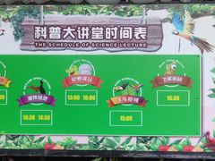 -广州长隆飞鸟乐园