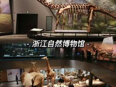-浙江省博物馆(孤山馆区)