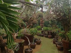 -呀路古热带植物园