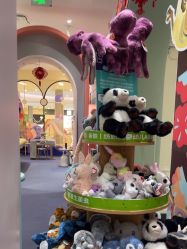 -奈尔宝·儿童乐园·亲子餐厅(华采天地店)