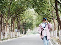 -南京市江宁方山