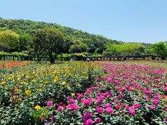 -龙寺生态园