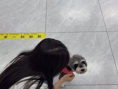 -达爱动物医院·犬猫分区·CT·复杂眼科(远洋山水分院)