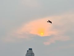 -星海广场