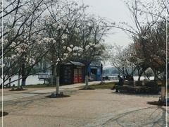 -Beans Solo豆号咖啡(百家湖花园店)