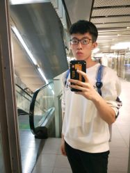-大象造型
