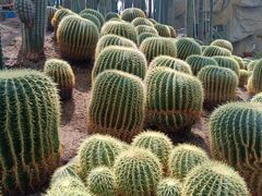-南山植物园