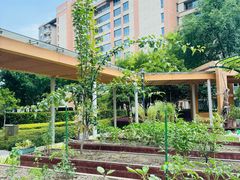 -梧桐人家中国太平国际健康颐养社区