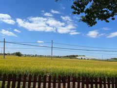 -莲花岛景区