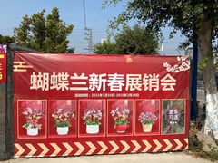 -鸿渡渔庄·特色鸭咀鱼