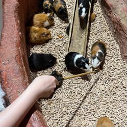 -Zoolung Zoolung动物主题公园(海信广场店)