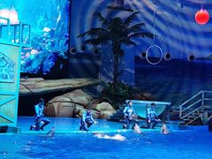 -海合安武汉极地海洋公园