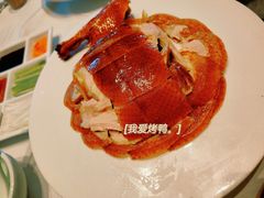 -王厚元饺子·辽菜(浑南店)