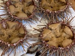 -海胆小馆(东北水饺·春柳店)