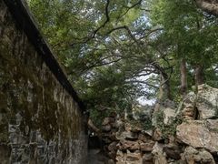 -绮园景区