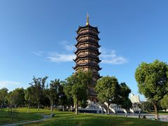 -葛仙湖公园