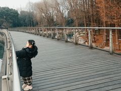 -蠡湖大桥公园