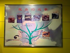 -上海昆虫博物馆