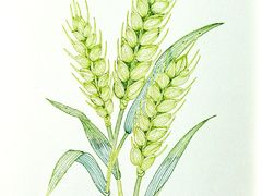 -八哥美术·成人美术画室(总校区)