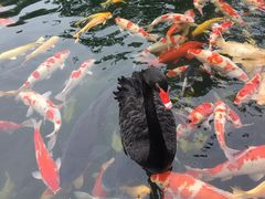 -湖鲜楼