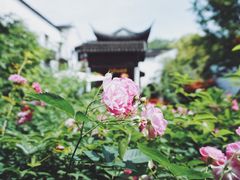 -苏州文旅花间堂·探花府酒店