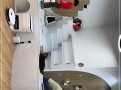 -COLOR PETS 撸猫馆·购猫·猫咖(长风大悦城店)